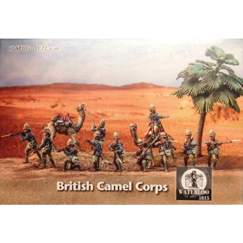 British Colonial corpo Camel (11 Figura 2 cammelli)