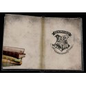 Harry Potter Notebook with Light Slytherin