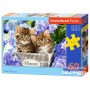 Puzzle Cute Kittens, puzzle 60 pezzi