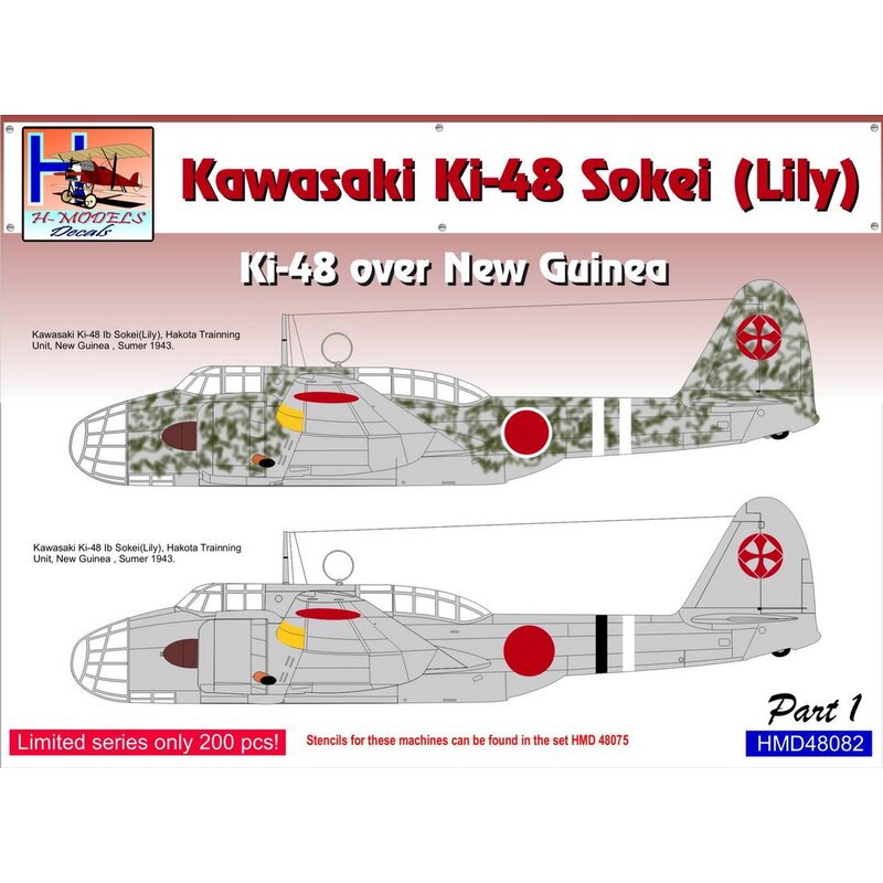 Decalcomania Kawasaki Ki-48-Ib / Ki-48-IIb sulla Nuova Guinea, Pt.1