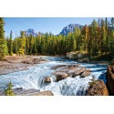 Puzzle Fiume di Athabasca, Jasper Nat.Park, Ca, Puzzl