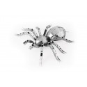 MetalEarth Insetti: TARANTULE 6.93x8.52x1.78cm, modello in metallo 3D con 1 foglio, su carta 12x17cm, 14+