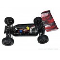 BLACKBULL 1/10 BRUSHLESS BUGGY