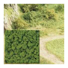  Verde muschio cespuglio maggio - uv x 5