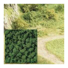  Schiuma verde medio bush - uv x 5