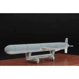 BGM-109 Tomahawk Cruise Missile