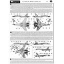 Decalcomania Sukhoi Su-27 Flanker family Part 1. (22) Variety of camouflage schemes operated by Russia Uzbekistan India `Hunting