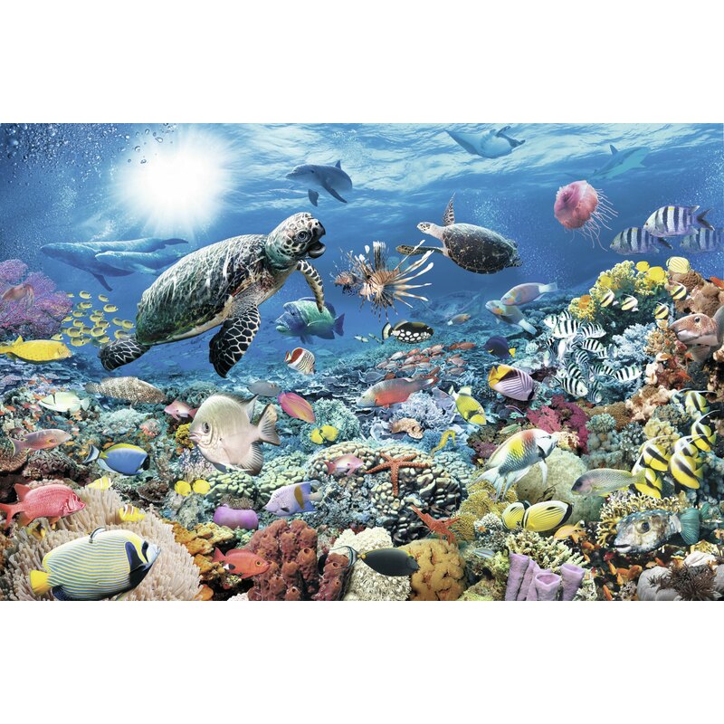 Puzzle Ravensburger Puzzle 5000 p - Mondo marino nel 1001hobbies  (Ref.-174263)