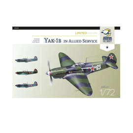 Kit modello Yak-1b Allied Fighter