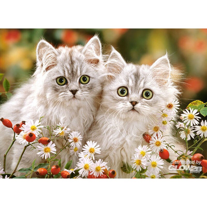  Persian Kittens, puzzle da 200 pezzi