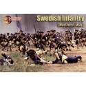 Swedish infantry (North war)