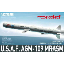 Kit modello Set di 18 foto di missili AGM-109 ACM statunitensi