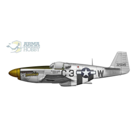 Kit modello P-51 B / C Mustang Expert Set