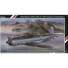 Blackburn Skua Mk.II. The Blackburn Skua was a strange aircraft. It combined the roles of both fighter and dive bomber but perfo