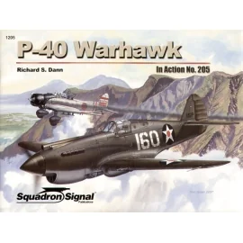 Libro Curtiss P-40 Warhawk (In Action Series)