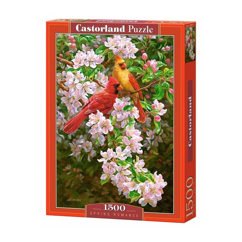 Puzzle Castorland Coastal Living, puzzle da 1500 pezzi
