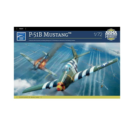 Kit modello Mustang P-51B