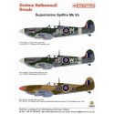 Decalcomania Supermarine Spitfire Mk.Vb (3) W3207 JH-M 317 Polish Squadron 1943 W3902 WX-T 302 Polish Squadron 1943 both Dark Gr