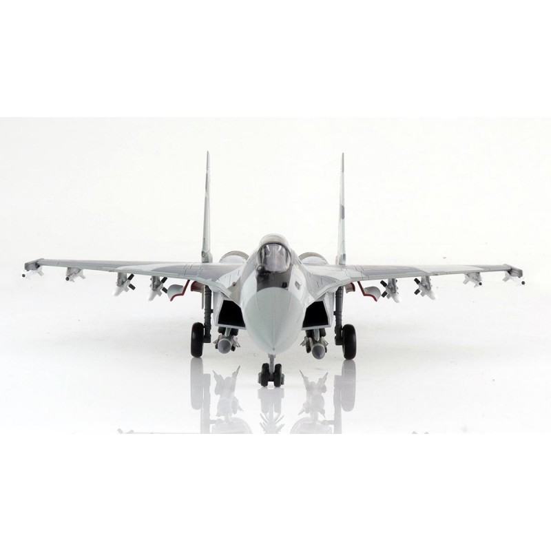 Automodello Su 35S Flanker E 9213 aeronautica militare egizia