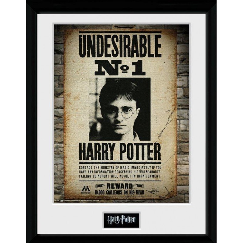 Gb eye HARRY POTTER - Collector Print 30X40 - Indesiderab