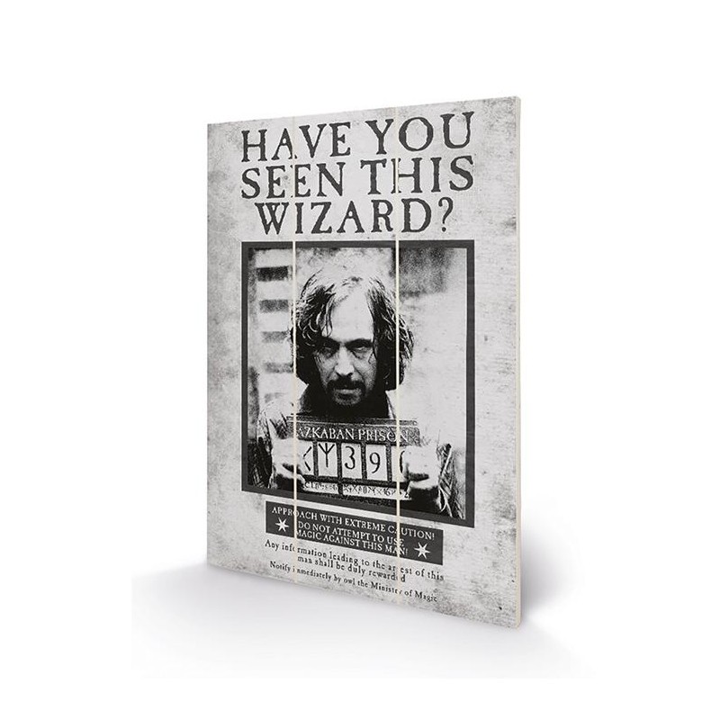 Pyramid international HARRY POTTER - Sirius Wanted - Stampa