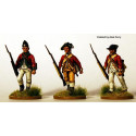 American War of Independence British Infantry 1775-1783