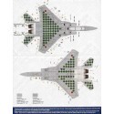 Decalcomania McDonnell Douglas F-15DJ JASDF Aggressor Pt 2 32-8085 in FS36375/FS36320 camouflage schemes covered by green square