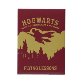  HARRY POTTER - Flying Lessons - Sticker