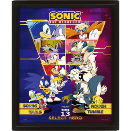  Select Your Fighter 3D effect framed Sonic The Hedgehog poster 26 x 20 cm