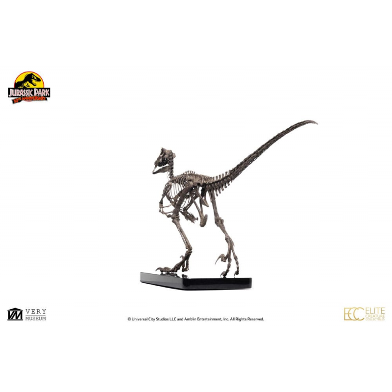 Jurassic Park Figure 14 Raptor Skeleton Bronze 46 