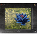 Magic The Gathering relief sculpture Black Lotus Previews Exclusive 17 x 15 cm