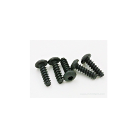 VITE TP TTE ROUND 3X10MM (10)