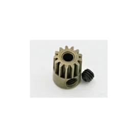 PINION 13D