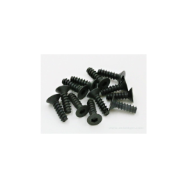 VITE TP TTE FRAISEE 3X10MM (12)