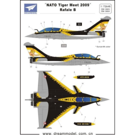  Decalcomania Dassault Rafale B NATO Tiger Meet 2009 (per i kit modello da Hobby Boss)