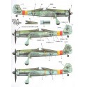 Decalcomania Focke Wulf Ta 152 subjects complete with new stencils for data plate placements and other newly revealed informatio