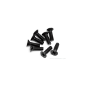 VITE A TESTA M3X10MM S8