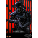 Star Wars figure Movie Masterpiece 1/6 Shadow Trooper with Death Star Environment 30 cm