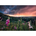 Power of Nature puzzle A storm is brewing (1000 pieces)