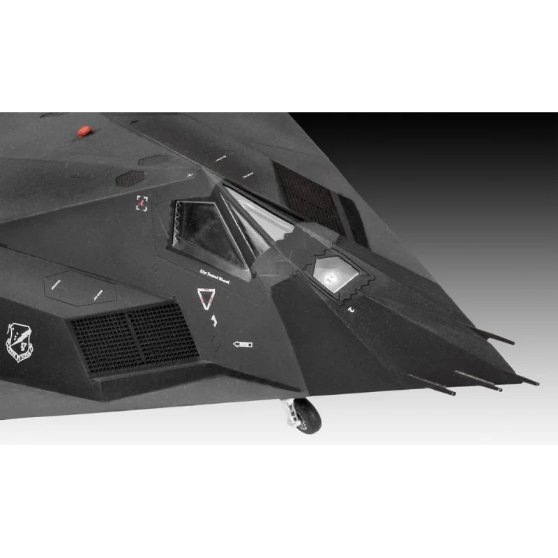 F-117 Stealth Fighter