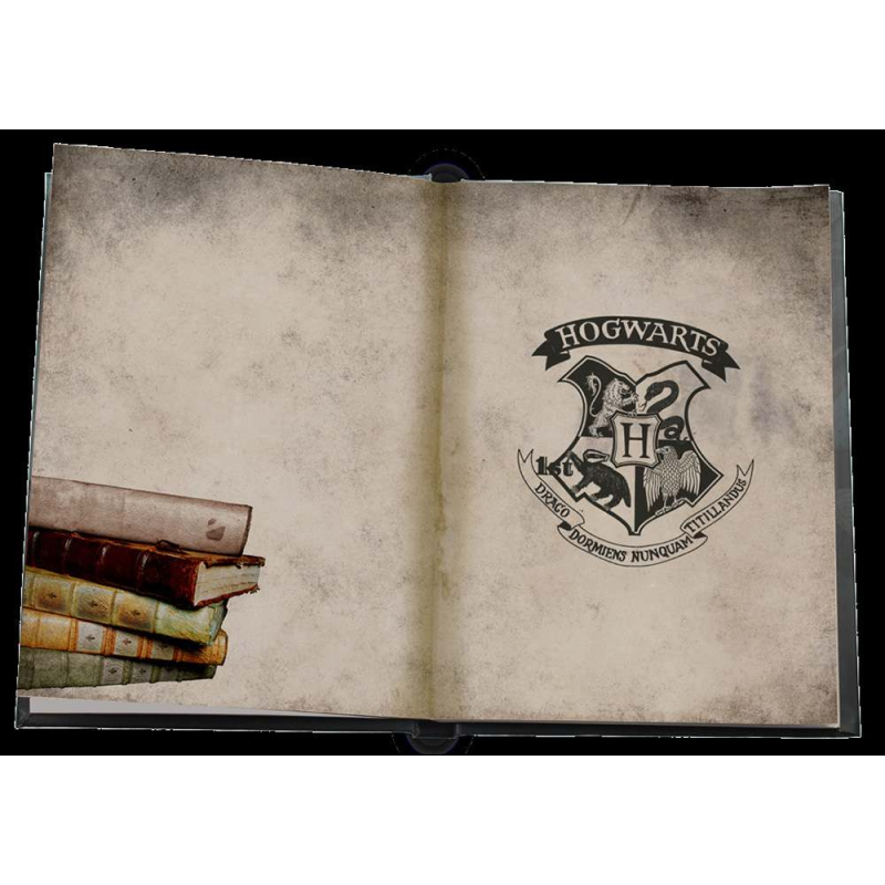 Harry Potter Notebook with Light Slytherin