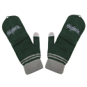 Harry Potter Gloves (Fingerless) Slytherin