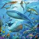 Puzzles 3x49 p - The animal world of the ocean