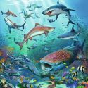 Puzzles 3x49 p - The animal world of the ocean