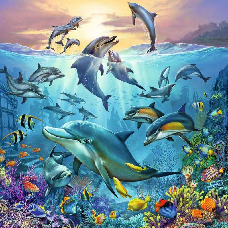 Puzzles 3x49 p - The animal world of the ocean