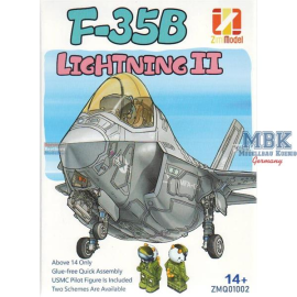 DJ F-35B Lightning II