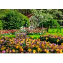 Puzzle da 1000 p - Giardini Keukenhof, Paesi Bassi (Puzzle in evidenza)