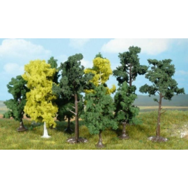  Assortimento di 10 alberi 14-18 cm