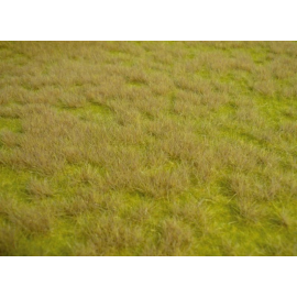  Tappeto in erba selvatica della savana 45 x 17 cm