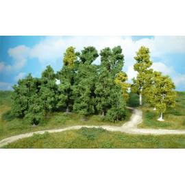 Lotto di 20 alberi frondosi 5-11 cm